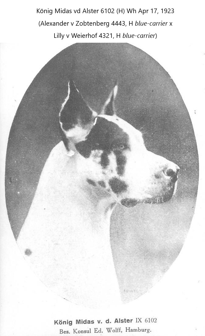 Konig Midas vd Alster